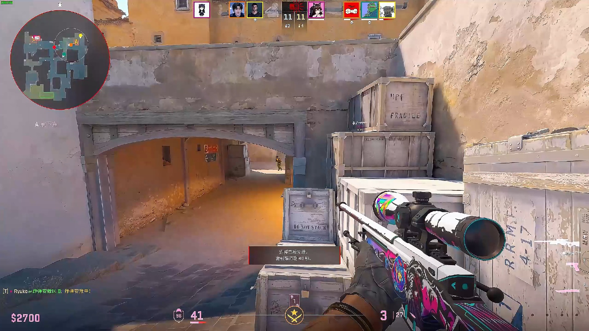 森林狼展现 森林狼展现