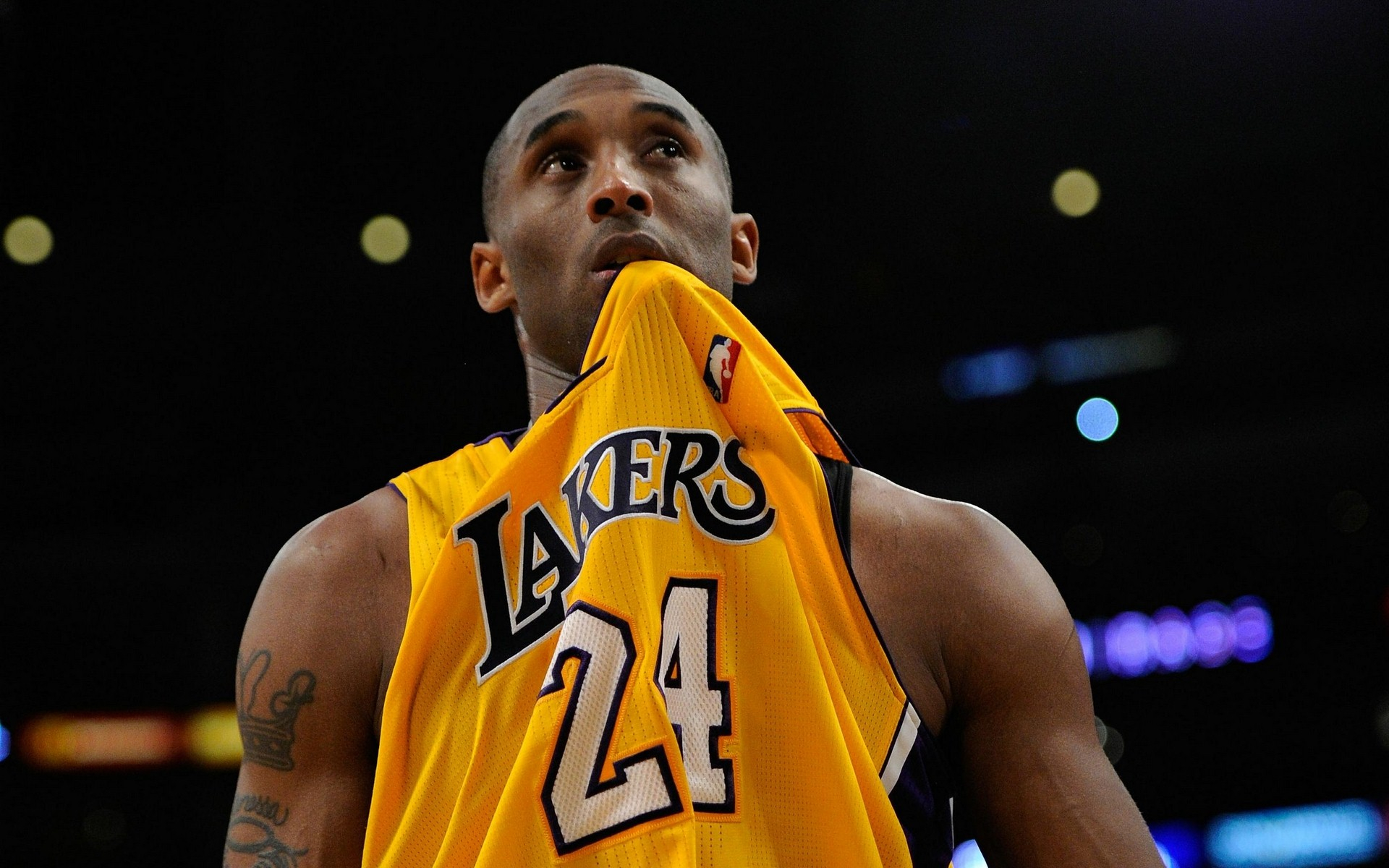 的诈唬频率 的诈唬频率