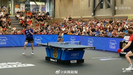 无论是续约 无论是续约